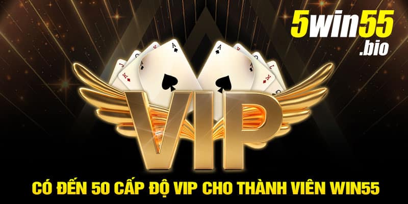 Có đến 50 cấp độ VIP cho thành viên Win55